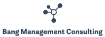 Bang Management Consulting